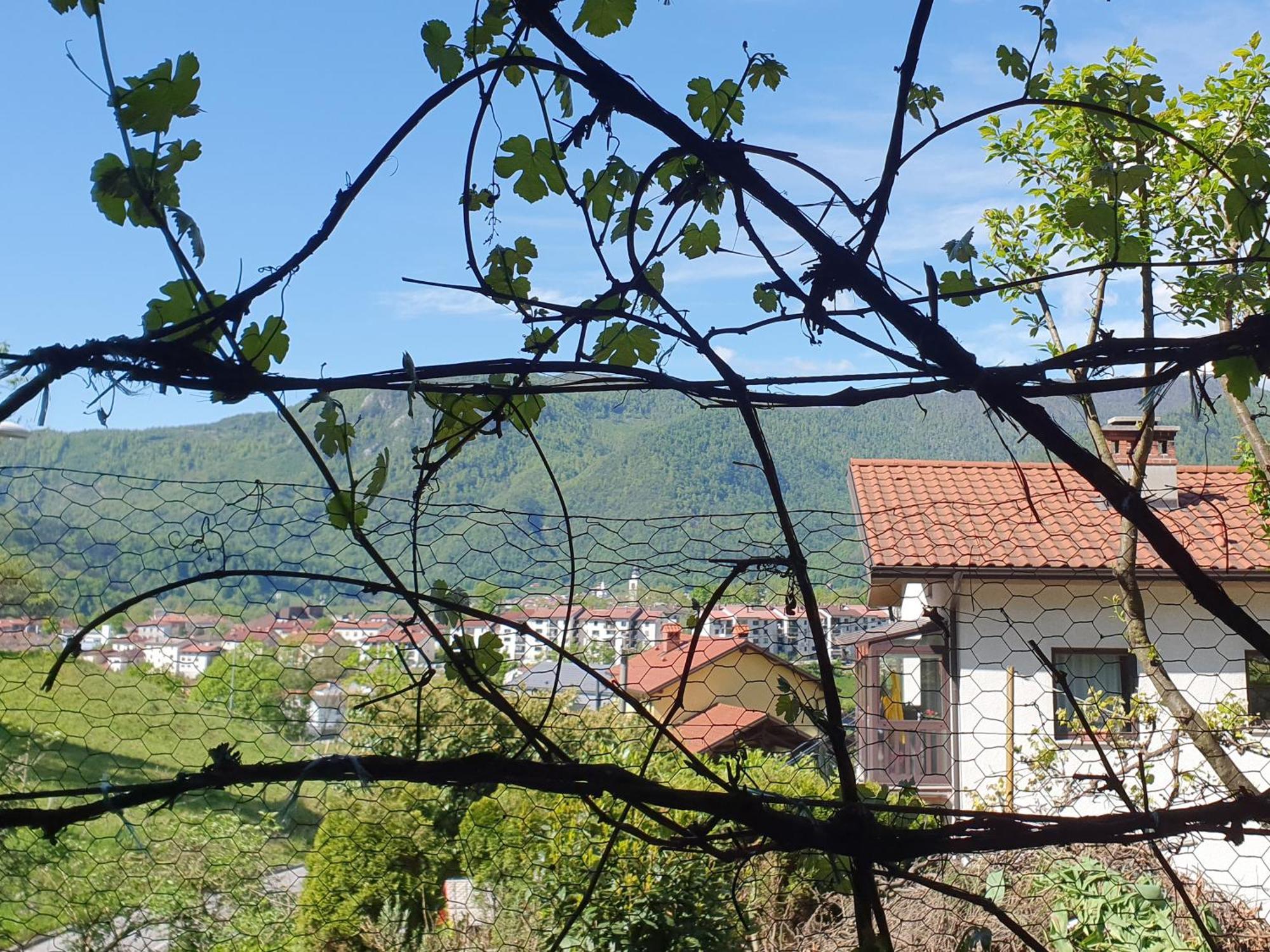 טולמין Apartment With Terrace Nona Pavla מראה חיצוני תמונה
