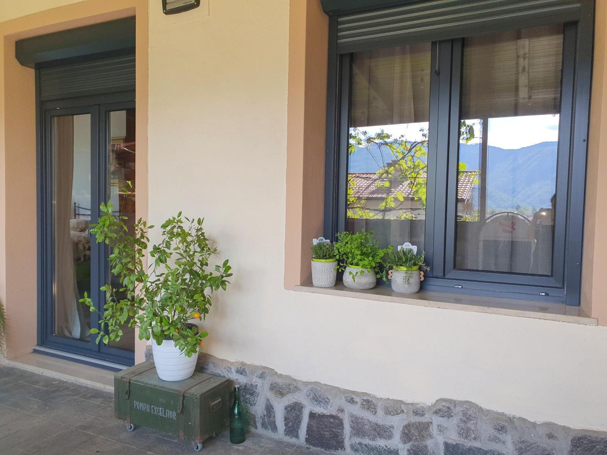 טולמין Apartment With Terrace Nona Pavla מראה חיצוני תמונה